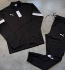 Conjunto Puma Dry Cell